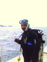 mismail avatar
