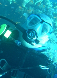 roytrieste avatar