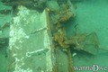 scuba diving photo