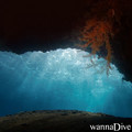 scuba diving photo
