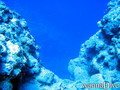 foto de buceo