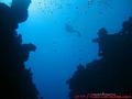 scuba diving photo