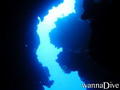 scuba diving photo