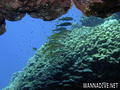 foto de buceo