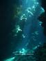 foto de buceo
