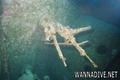 scuba diving photo