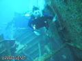 scuba diving photo