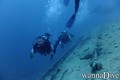 scuba diving photo