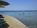 scuba diving photo