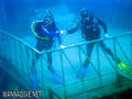 scuba diving photo