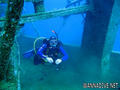 scuba diving photo