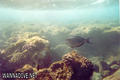 foto de buceo