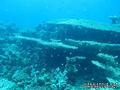 scuba diving photo