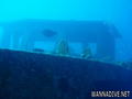 scuba diving photo