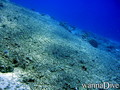 scuba diving photo