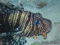 foto de buceo