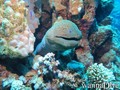 foto de buceo
