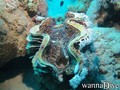 foto de buceo