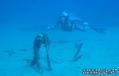 scuba diving photo