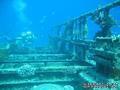 scuba diving photo
