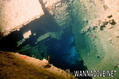 scuba diving photo