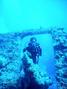 scuba diving photo