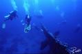 scuba diving photo