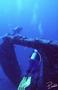 scuba diving photo
