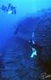 scuba diving photo