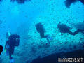 scuba diving photo