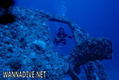 scuba diving photo