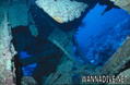 scuba diving photo
