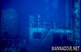 scuba diving photo