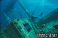 scuba diving photo
