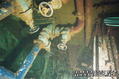 scuba diving photo