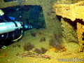scuba diving photo