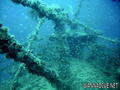 scuba diving photo