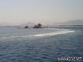 scuba diving photo