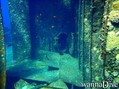 scuba diving photo