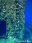 scuba diving photo