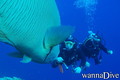 foto de buceo