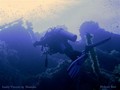 scuba diving photo