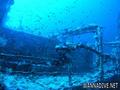 scuba diving photo