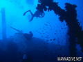 scuba diving photo