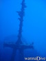 scuba diving photo