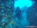 scuba diving photo