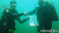 scuba diving photo