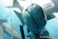 scuba diving photo