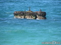 scuba diving photo