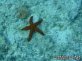 foto de buceo